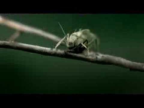 It's Bridgestone or nothing