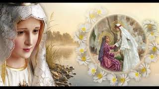 TODAY HOLY ROSARY: MONDAY, AUGUST 03, 2026 - THE HOLY ROSARY MONDAY