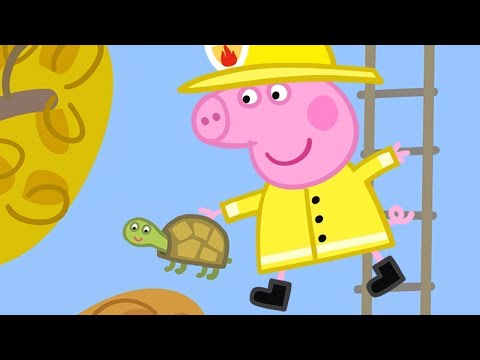 Cartoons für Kinder 🐢 Schildkröten-Rettung! | Peppa Pig Deutsch Neue Folgen | Cartoons für Kinder