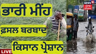 Heavy Rain in Punjab : ਭਾਰੀ ਮੀਂਹ, ਫ਼ਸਲ ਬਰਬਾਦ, ਕਿਸਾਨ ਪਰੇਸ਼ਾਨ | News18 Punjab Live