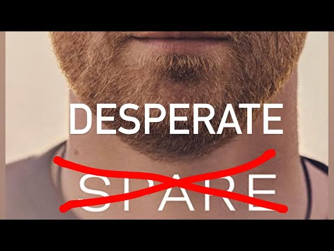 I’ll Spare You the Details: Chapter 26 “Harry Scrambles to Save His Family from Certain Death”