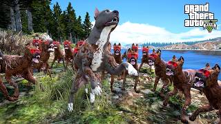 TERMİNATÖR BABA 30 VAHŞİ CANE CORSO İLE BOĞUŞUYOR! - GTA 5