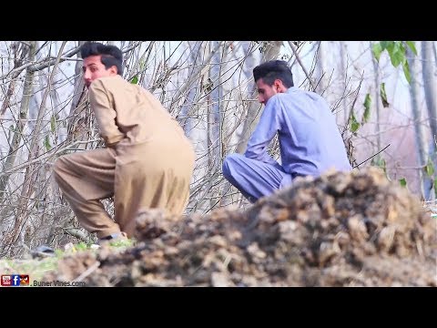 Buner Vines New Video 2019.Govt Tex Of Pakistan