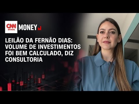 Leilão da Fernão Dias: Volume de investimentos foi bem calculado, diz consultoria | MORNING CALL