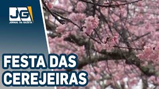 Miniatura do vídeo
