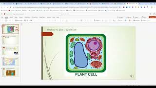 Using Immersive Reader in PowerPoint (web version)