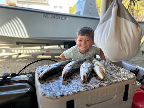 Fishing Backwater for Sea Trout