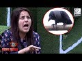 Bigg Boss 13 Preview Shehnaaz Gill S Funny Conversation With A CROW