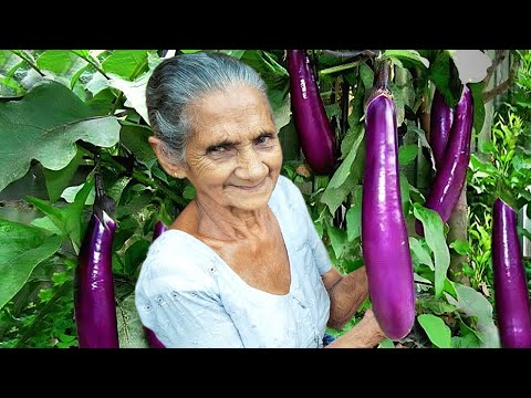 Brinjal Curry with Dried Fish
