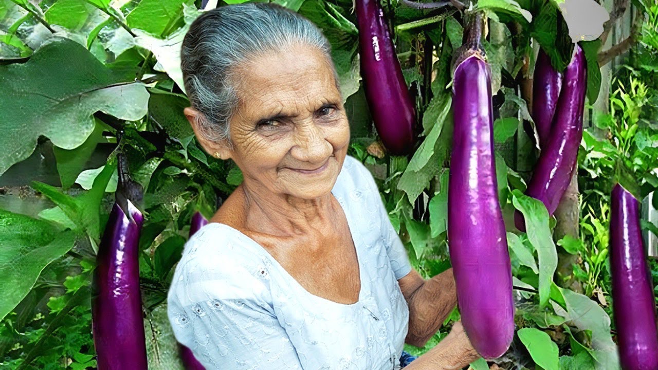 Brinjal Curry with Dried Fish