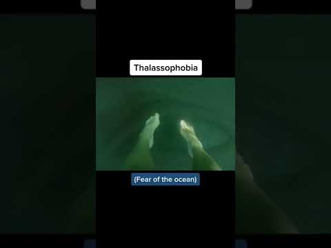 If This Video Scares You You May Have… Thalassophobia #shorts #phobia