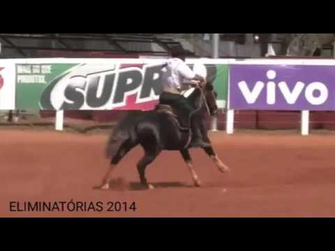 DATA VENIA DESPEJADO