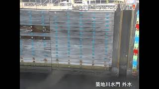 築地川水門 外水側