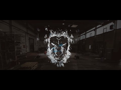 Rec-Z feat. B-Chris & Mad Diary - Leitwolfgene (Trailer)