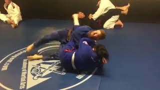 BJJ Stevenage