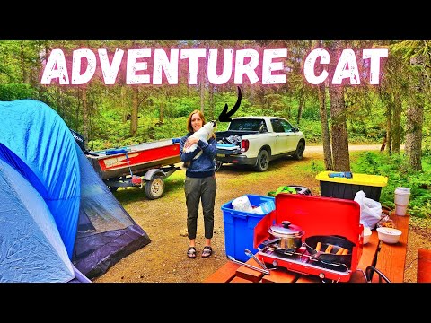 Camping &amp; Fishing w/ A Cat