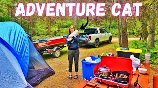 Camping &amp; Fishing w/ A Cat