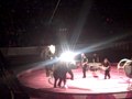 Circus 2009