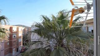 travel la linea ( Gibraltar area) dariointernet.com