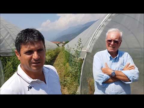 L'orto di Carmen e Blerim - #ClientiPerMicro