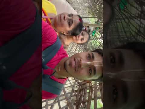 Vrindavan ki mahima 🥺♥️🦚. #radharani #krishna #support #trendingshorts