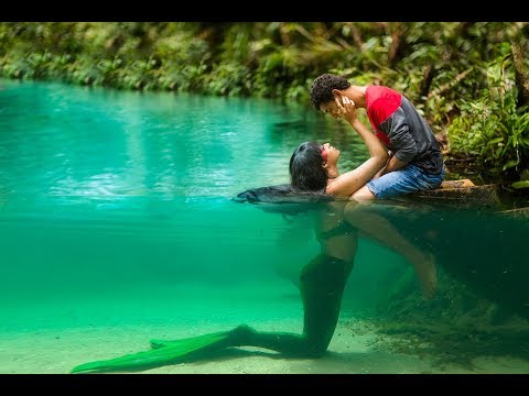 Sereia Iara e a transformação do Boto