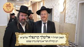 חלוקת לחמי מרדכי לאלמנות פרשת ויקרא (פורים) תשפ''ד | Lachmei Mordechai Purim 2024 Distribution