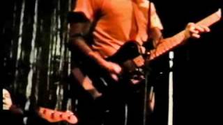 the Whole Scene - the Dingees