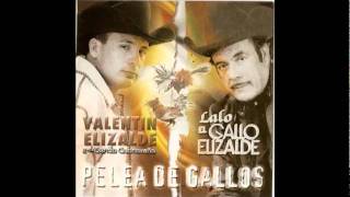 El Corrido De Tano Elizalde El KomanderPromo 2011wmv