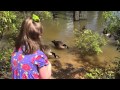 Feeding The Hungry Geese