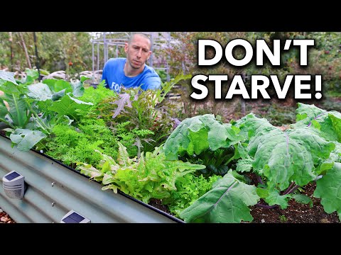 10 Cold-Hardy Crops You Can Grow Through the Winter (Grow at -30°F)