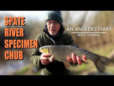 An Anglers Diary with A Moment in Time Channel - Chapter 100 - Chub Fishing