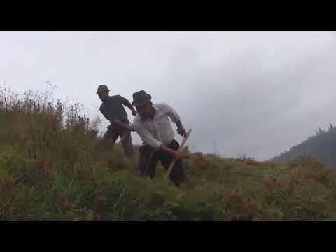 Octavian Bud - Lucrul Cosașului