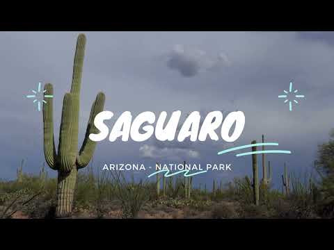 Saguaro National Park Arizona | Samhitha's Top Videos