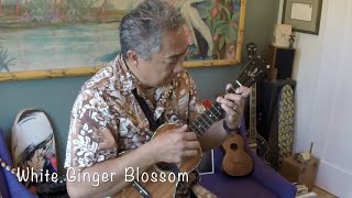 White Ginger Blossoms Vintage Hawaiian Song Ukulel