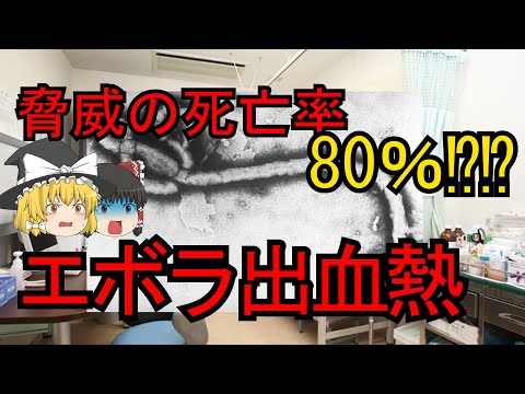 エボラ出血熱:遺伝子分析で起源が判明