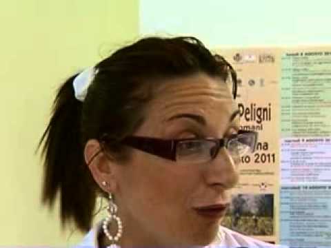 ONDA TG 25.07.2013 - COMUNE DI PRATOLA PELIGNA: LA TOMASSILLI SPIEGA LE DIMISSIONI