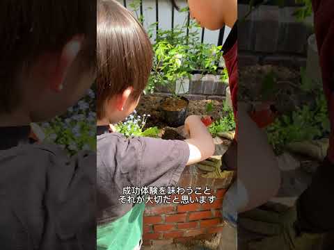 庭に自然な小川をうまく作り出すことができるかどうかは、あなた次第です。ちょっとした特典映像！  庭園