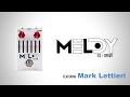 J Rockett Audio Designs - Snarky Puppy's Mark Lettieri Melody EQ/OD