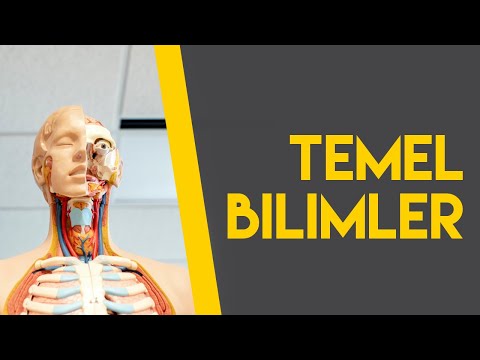 Hangi Temel Bilim Size Uygun? video küçük resmi