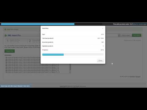 OpenCart - XML Import Pro - how to set up