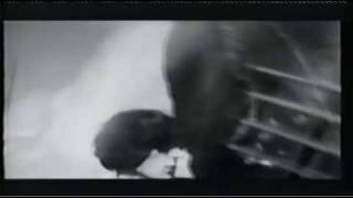 Cornershop &quot;Waterlogged&quot;