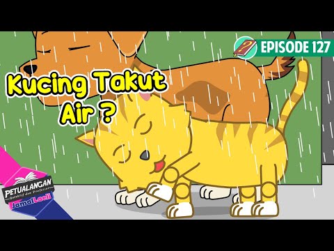 Si Manis Yang Takut Air - Kucing Takut Air ? - Petualangan Jamal Laeli - Ensiklopedia anak - PJL