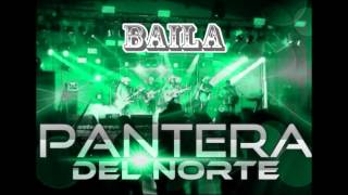 Pantera Del Norte-Baila