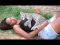 Sleeping Baby Leopard - Cheetah Experience ...