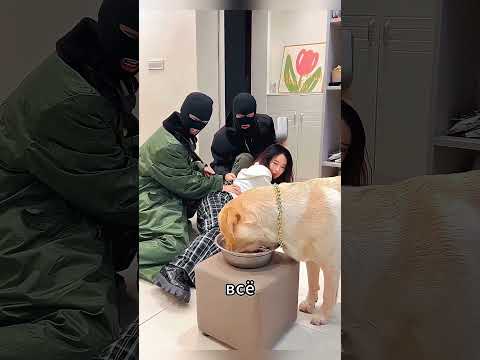 Собака Спасла Хозяйку Ценой Своей Жизни 🐶💔 #shorts