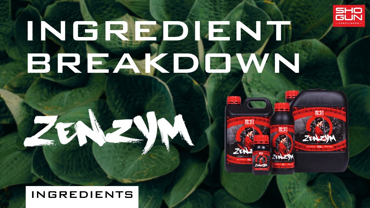 Ingredients Breakdown SHOGUN Zenzym