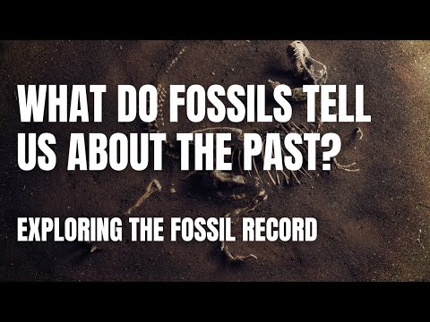 Fossils and the Fossil Record: Earth's History in Stone | Middle School Science