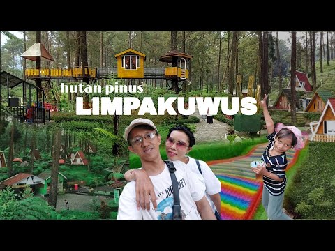 MELEDAK PENGUNJUNG WISATA HUTAN PINUS LIMPAKUWUS BATURADEN DI LIBURAN AHIR TAHUN