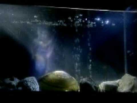 Video thumbnail for Ζηλιάρης ουρανός (Ziliaris ouranos)